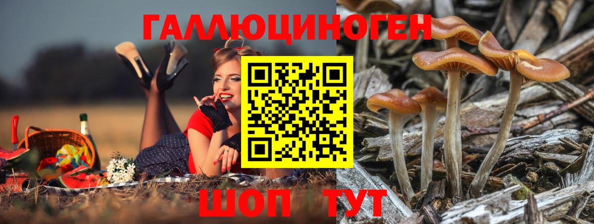 Псилоцибиновые грибы мицелий Ульяновск